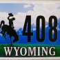 2015 Wyoming License Plate (22 40801)