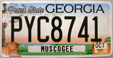 2015 Georgia License Plate (PYC8741)