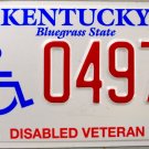 2007 Kentucky Disabled Veteran License Plate (0497 DS)