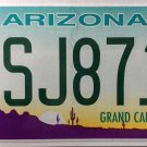 2016 Arizona License Plate (BSJ8711)