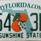 2014 Florida License Plate (X54 3HN)