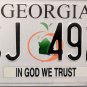 2012 Georgia In God We Trust License Plate (BSJ 4920)