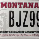 University Montana Grizzly Scholarship Association License Plate (BJZ997)