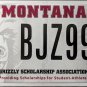 University Montana Grizzly Scholarship Association License Plate (BJZ997)
