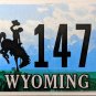 2010 Wyoming License Plate (22 14747)