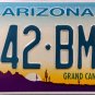 2001 Arizona License Plate (642-BMJ)