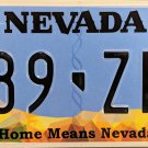 2019 Nevada License Plate (989-ZFL)