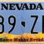 2019 Nevada License Plate (989-ZFL)