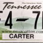 2018 Tennessee License Plate (2F4-7B4)
