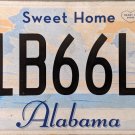 2013 Alabama License Plate (41B66L6)