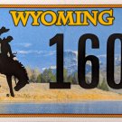 2020 Wyoming License Plate (15 1605)