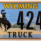 2019 Wyoming Truck License Plate (13T 4244)