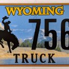 2019 Wyoming Truck License Plate (13T 7569)