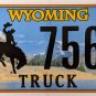 2019 Wyoming Truck License Plate (13T 7569)