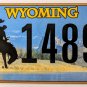 2018 Wyoming License Plate (22 14894)
