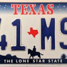 Texas License Plate (R41 MSG)