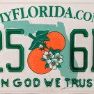 2015 Florida In God We Trust License Plate (625 6BM)