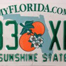 2018 Florida License Plate (133 XNF)