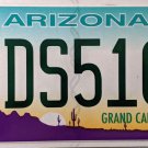 2020 Arizona License Plate (CDS5106)