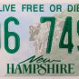 2019 New Hampshire License Plate (396 7495)