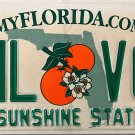 2017 Florida License Plate (GML V03)