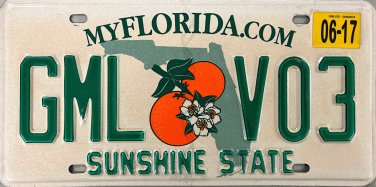 2017 Florida License Plate (GML V03)