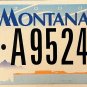 2006 Montana License Plate (6-A95244)