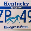 1994 Kentucky License Plate (WZP 491)