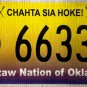2016 Oklahoma: Choctaw Nation License Plate (66338)