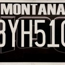 Montana "406" License Plate (BYH510)