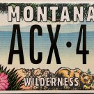 2004 Montana Wilderness License Plate (ACX 401)