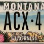 2004 Montana Wilderness License Plate (ACX 401)