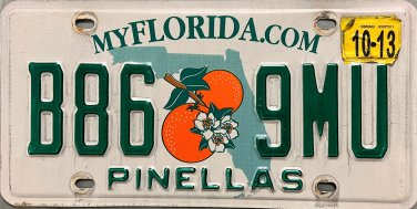 2013 Florida License Plate (B86 9MU)