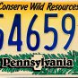 2007 Pennsylvania Conserve Wild Resources - Owl License Plate (WR 54659)