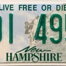 2022 New Hampshire License Plate (491 4956)