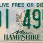 2022 New Hampshire License Plate (491 4956)