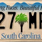 2004 South Carolina License Plate (127 MPJ)