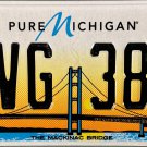 2016 Pure Michigan Mackinac Bridge License Plate (AVG 389)