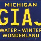 Michigan Water-Winter Wonderland Wheelchair License Plate (SGIAJA)