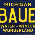 Michigan Water-Winter Wonderland Vanity License Plate (1BAUER)