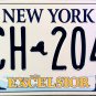 New York License Plate (LCH-2049)