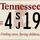 2021 Tennessee St. Jude Children's Research Hospital License Plate (4SJ190) 2021 Tennessee St. Jude Children's Research Hospital License Plate (4SJ190)