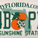 Florida Permanent License Plate (54B PXY)