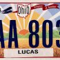 2024 Ohio License Plate (KAA 8038)