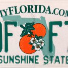 2024 Florida License Plate (PDF F74)