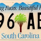 1999 South Carolina License Plate (496 ABN)