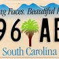1999 South Carolina License Plate (496 ABN)