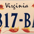 1999 Virginia "Leaves" License Plate (7317-BAC)