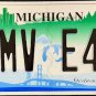 2025 Michigan Spectacular Peninsulas License Plate (1MV E48)