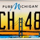 2025 Pure Michigan Mackinac Bridge License Plate (ECH 481)